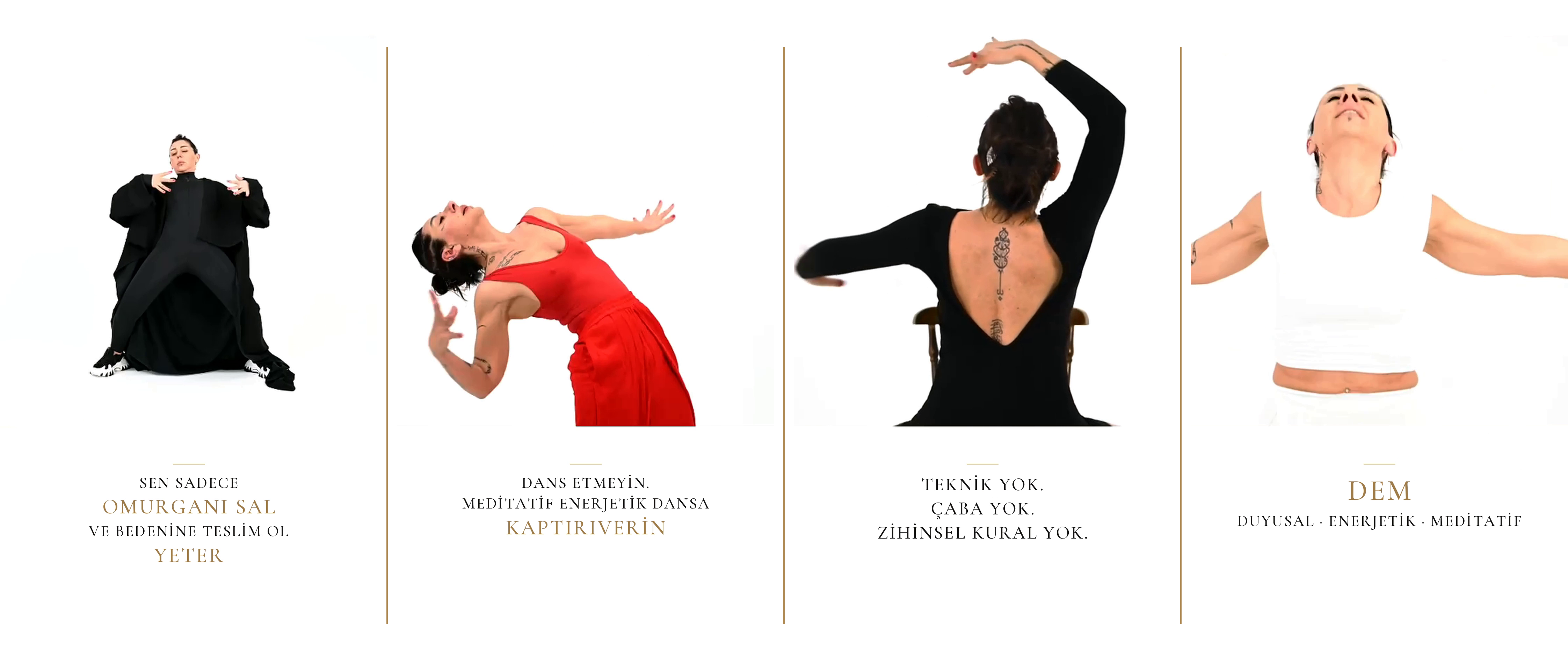 DEM dört hareket bandı: Sen sadece omurganı sal ve bedenine teslim ol yeter. Dans etmeyin. Meditatif enerjetik dansa kaptırıverin. Teknik yok. Çaba yok. Zihinsel kural yok. DEM, duygusal, enerjetik, meditatif.